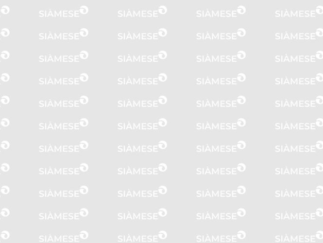 Banner lateral